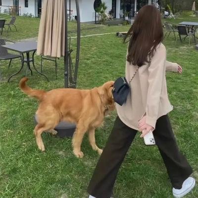 你是湖南人不咯第三季